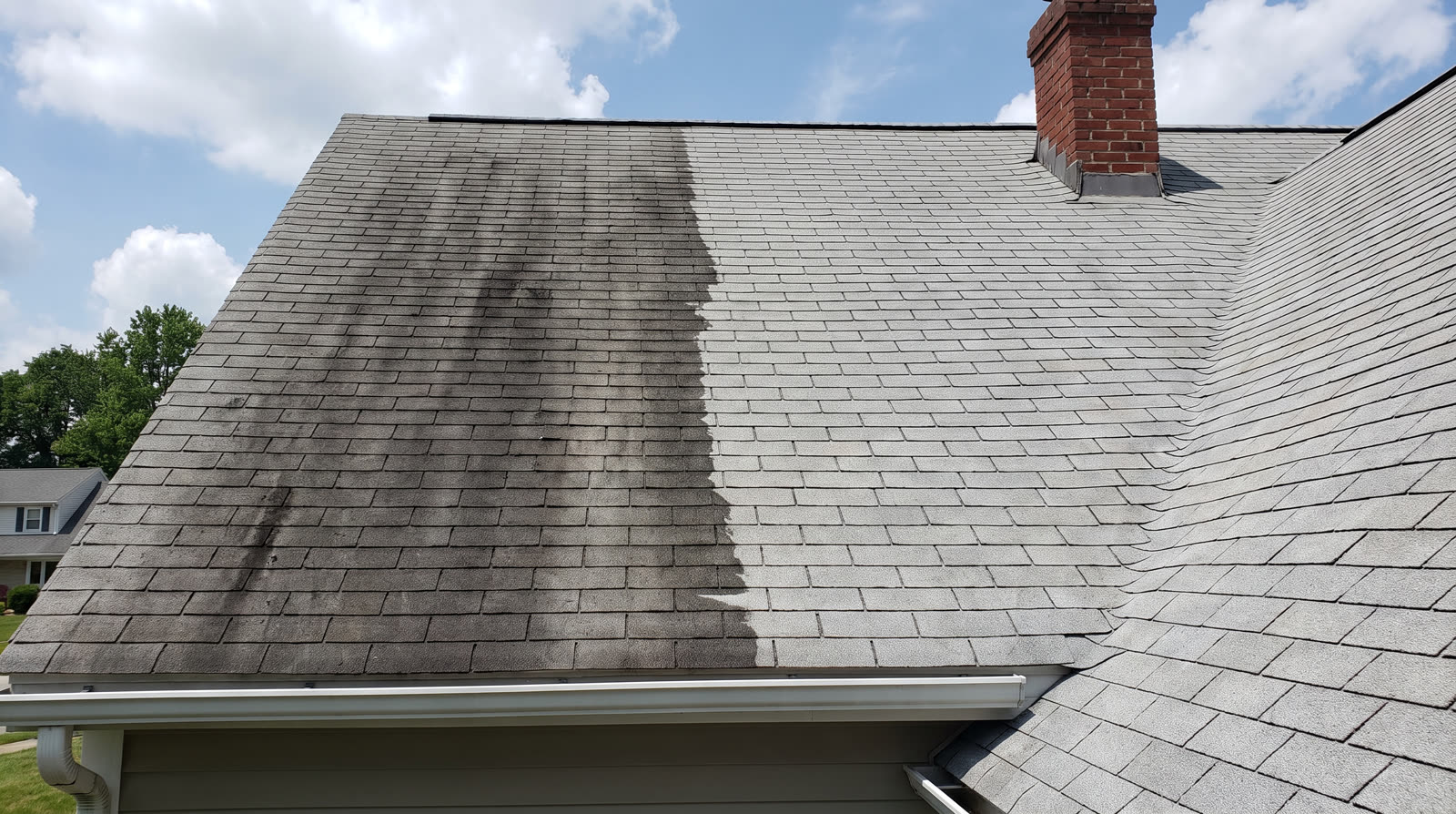 Roof Soft Washing — Eagle Revolution Power Washing